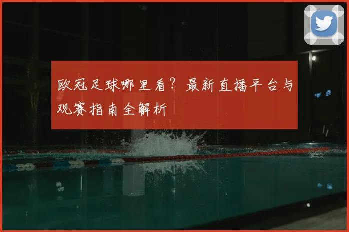 欧冠足球哪里看？最新直播平台与观赛指南全解析