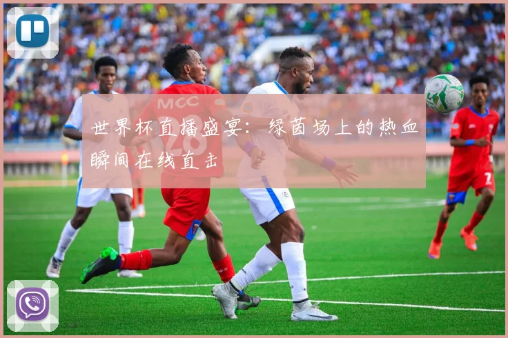 世界杯直播盛宴：绿茵场上的热血瞬间在线直击