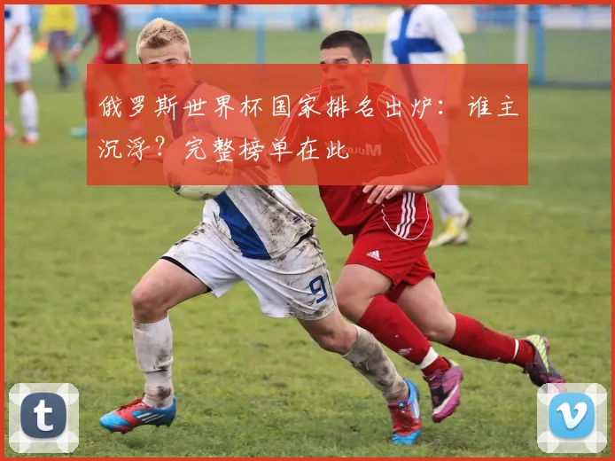 俄罗斯世界杯国家排名出炉：谁主沉浮？完整榜单在此