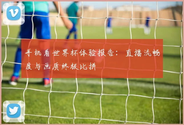 手机看世界杯体验报告：直播流畅度与画质终极比拼