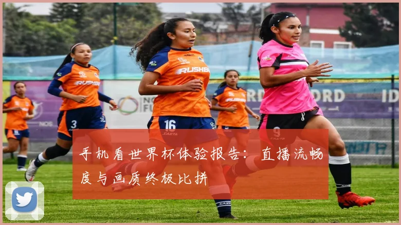 手机看世界杯体验报告：直播流畅度与画质终极比拼
