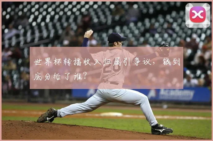 世界杯转播收入归属引争议,钱到底分给了谁?