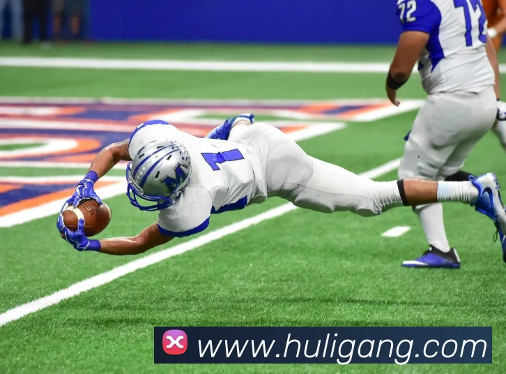 九游版官网入口平台生态图