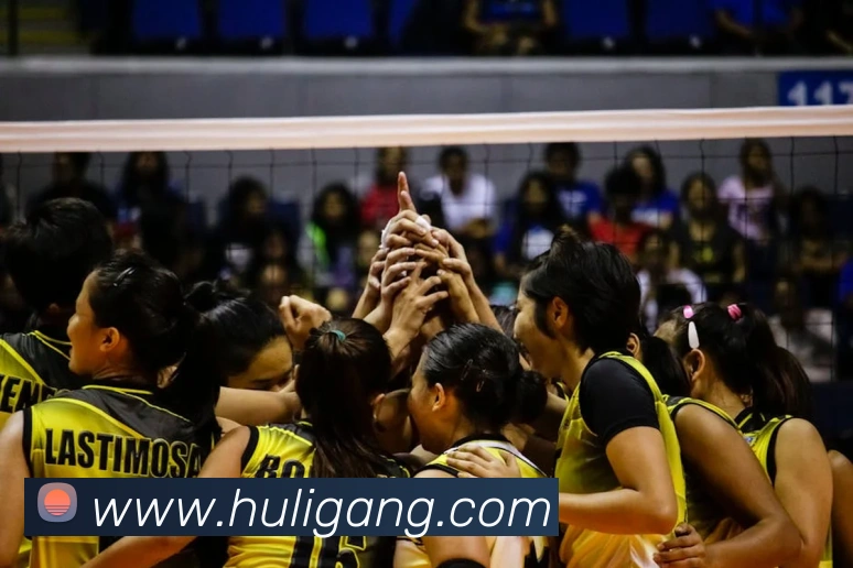 九游版官网入口APP 封面图